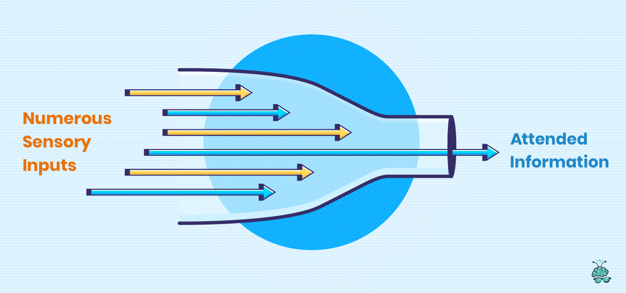 What Is Selective Attention How It Works Theories And Some Fun Tests